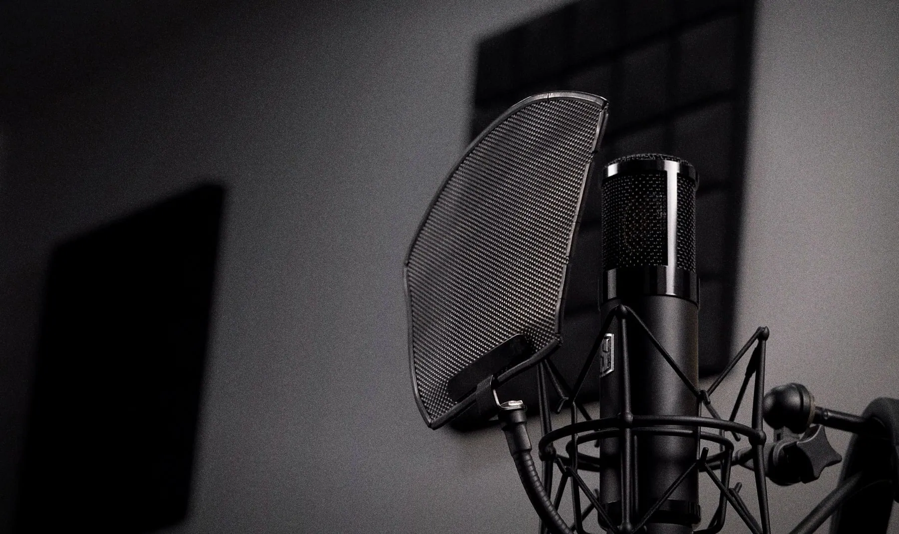 Close-up of a condenser microphone with a pop filter